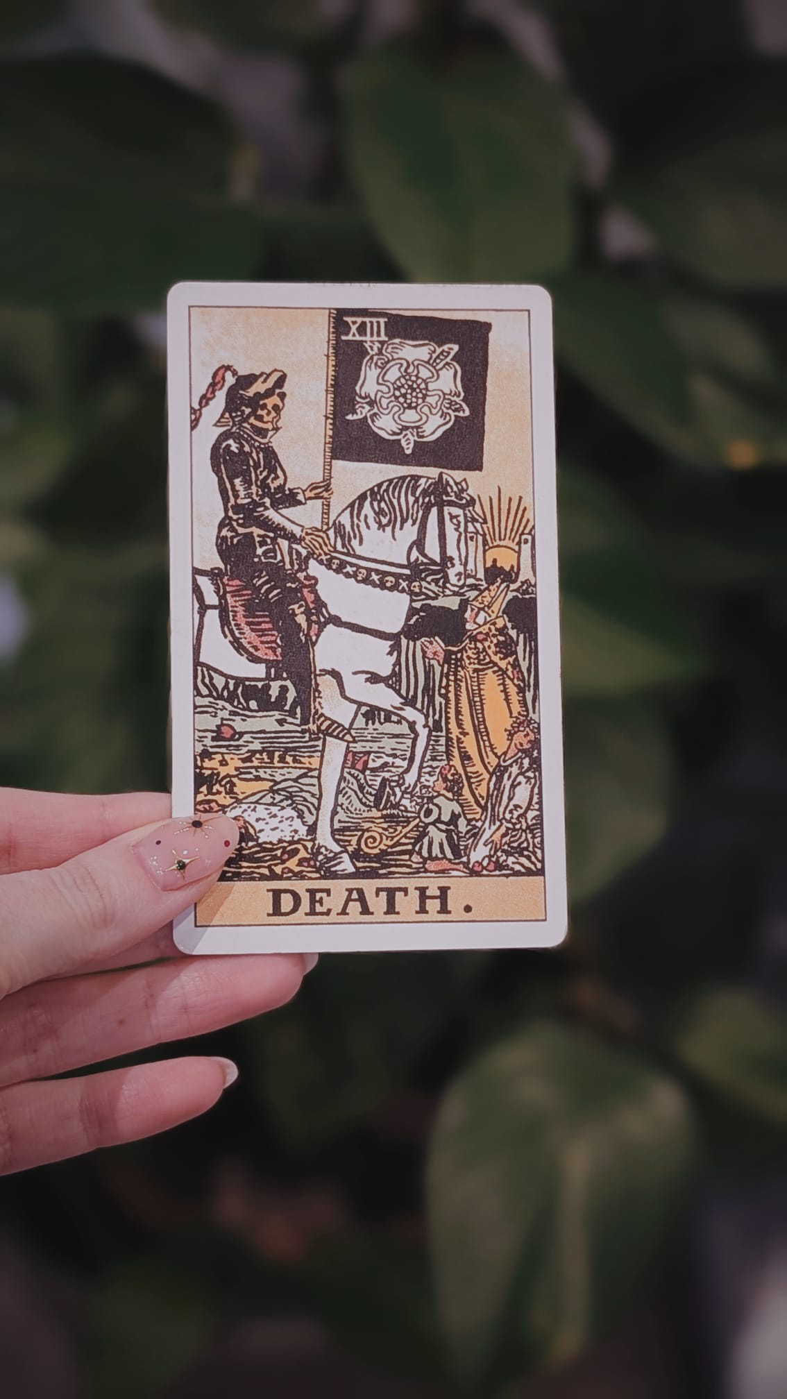 2024 and the card of Death
